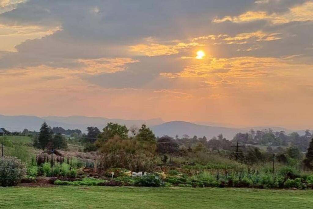 Upmarket Off Grid Cottage On Organic Farm In Secure Estate ホウィック エクステリア 写真